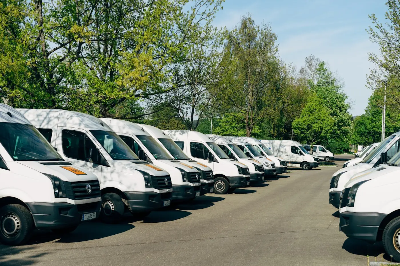 Stedfasts delivery vans lined up at the depot